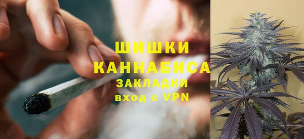 spice Арсеньев