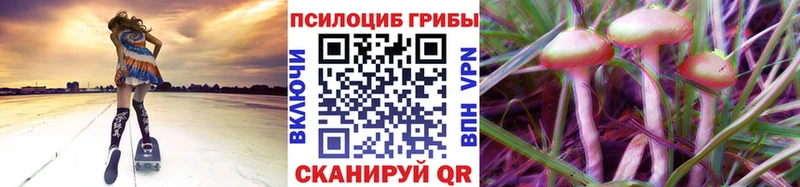 Галлюциногенные грибы мицелий  Купить закладки  Кувшиново 